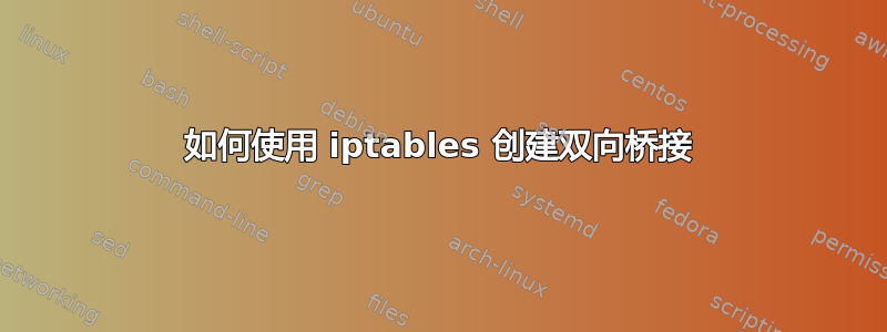 如何使用 iptables 创建双向桥接