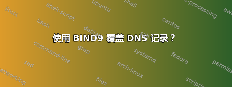 使用 BIND9 覆盖 DNS 记录？