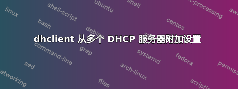 dhclient 从多个 DHCP 服务器附加设置