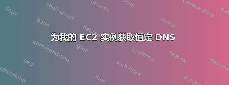 为我的 EC2 实例获取恒定 DNS