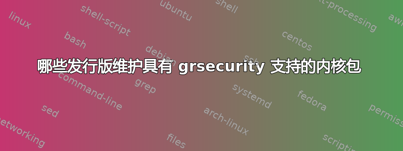 哪些发行版维护具有 grsecurity 支持的内核包