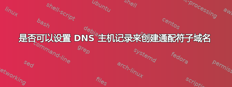 是否可以设置 DNS 主机记录来创建通配符子域名