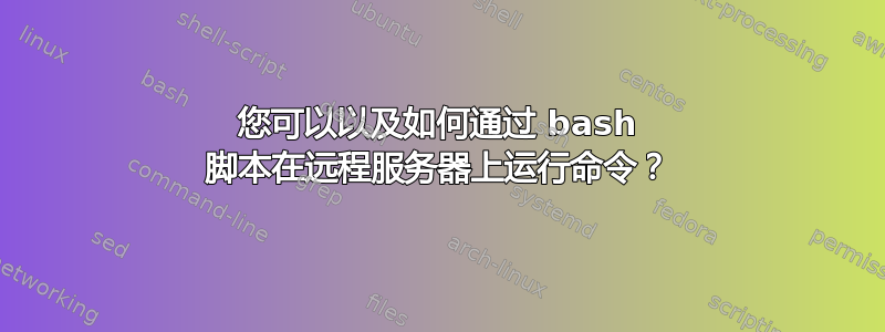 您可以以及如何通过 bash 脚本在远程服务器上运行命令？