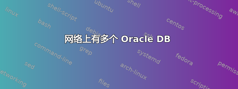 网络上有多个 Oracle DB