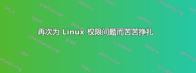 再次为 Linux 权限问题而苦苦挣扎 