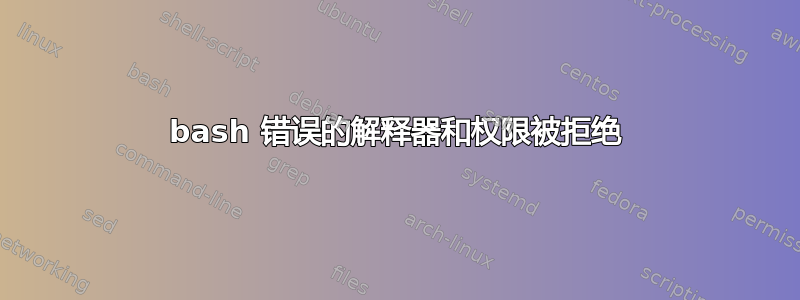 bash 错误的解释器和权限被拒绝