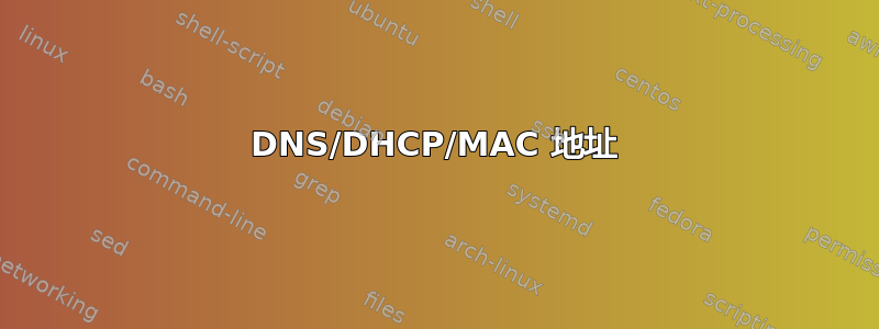 DNS/DHCP/MAC 地址