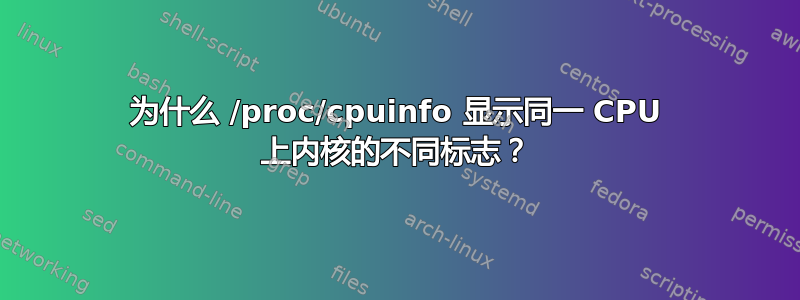 为什么 /proc/cpuinfo 显示同一 CPU 上内核的不同标志？