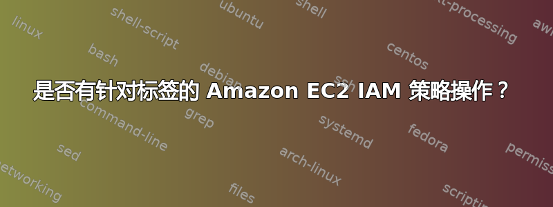 是否有针对标签的 Amazon EC2 IAM 策略操作？