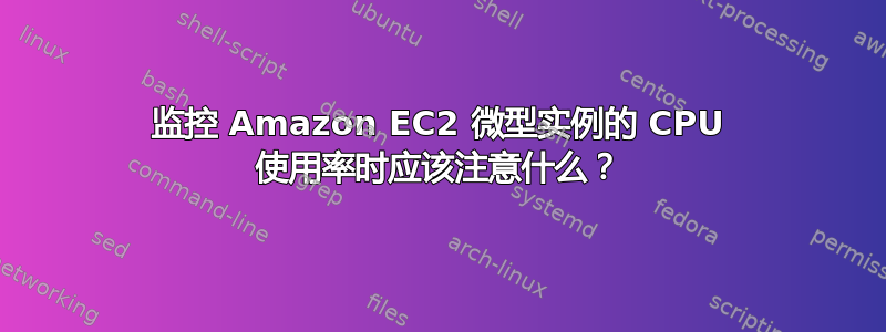 监控 Amazon EC2 微型实例的 CPU 使用率时应该注意什么？