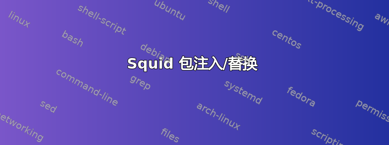 Squid 包注入/替换