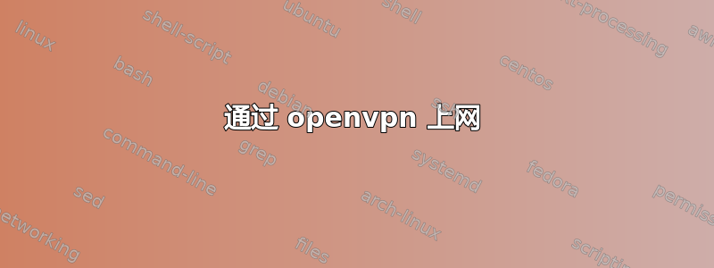 通过 openvpn 上网