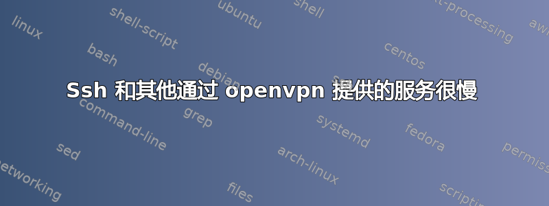 Ssh 和其他通过 openvpn 提供的服务很慢