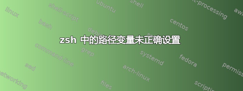 zsh 中的路径变量未正确设置