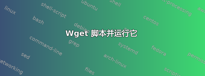 Wget 脚本并运行它