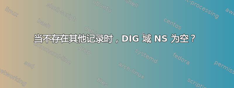 当不存在其他记录时，DIG 域 NS 为空？