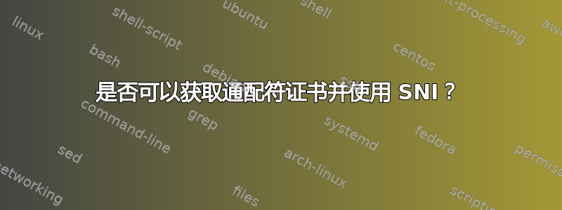 是否可以获取通配符证书并使用 SNI？