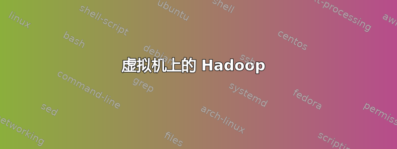 虚拟机上的 Hadoop 