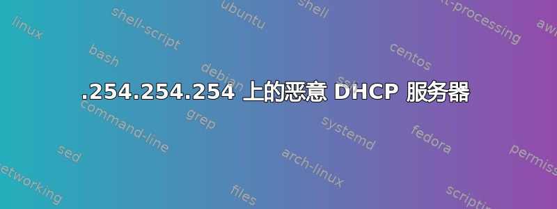 10.254.254.254 上的恶意 DHCP 服务器