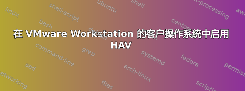 在 VMware Workstation 的客户操作系统中启用 HAV