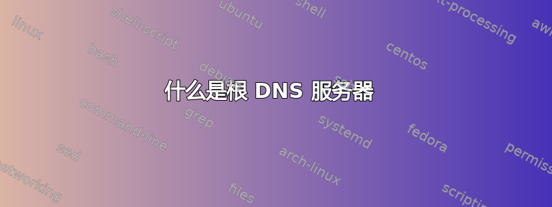 什么是根 DNS 服务器 