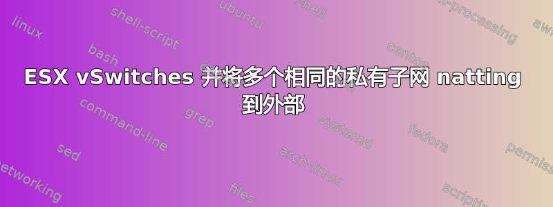 ESX vSwitches 并将多个相同的私有子网 natting 到外部