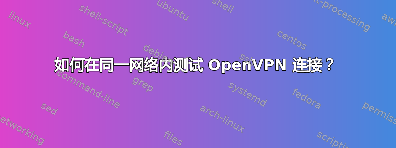 如何在同一网络内测试 OpenVPN 连接？