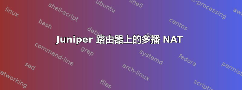 Juniper 路由器上的多播 NAT