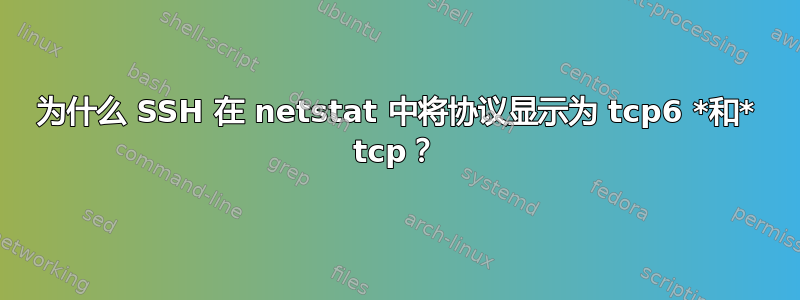 为什么 SSH 在 netstat 中将协议显示为 tcp6 *和* tcp？