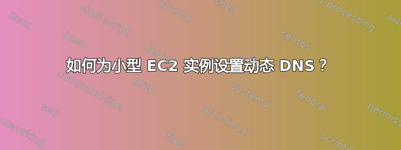 如何为小型 EC2 实例设置动态 DNS？