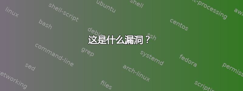 这是什么漏洞？