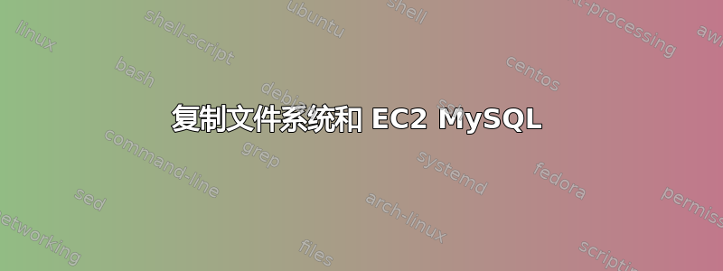 复制文件系统和 EC2 MySQL