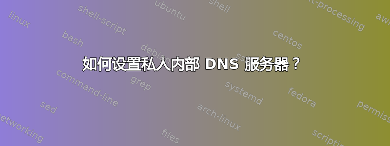 如何设置私人内部 DNS 服务器？