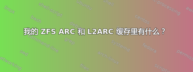 我的 ZFS ARC 和 L2ARC 缓存里有什么？