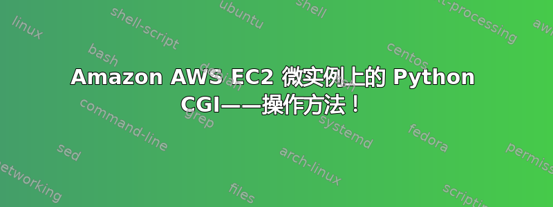 Amazon AWS EC2 微实例上的 Python CGI——操作方法！