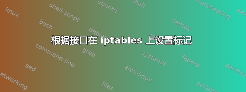 根据接口在 iptables 上设置标记