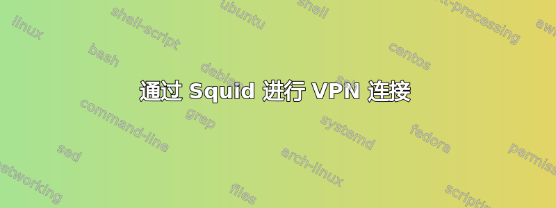 通过 Squid 进行 VPN 连接