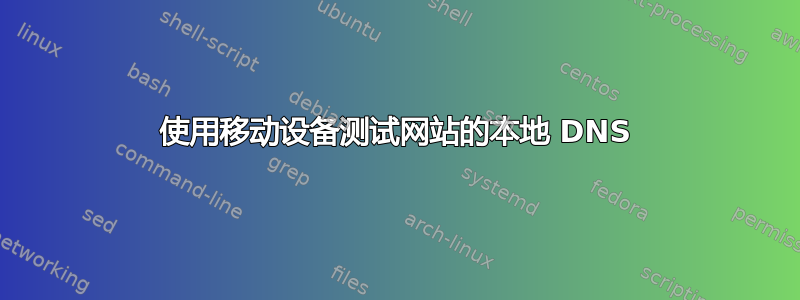 使用移动设备测试网站的本地 DNS