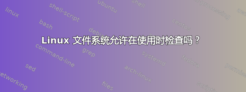 Linux 文件系统允许在使用时检查吗？