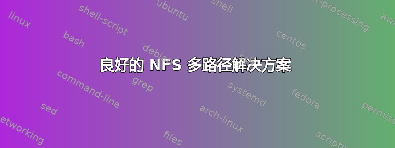 良好的 NFS 多路径解决方案