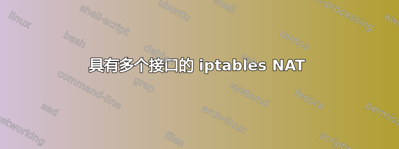 具有多个接口的 iptables NAT