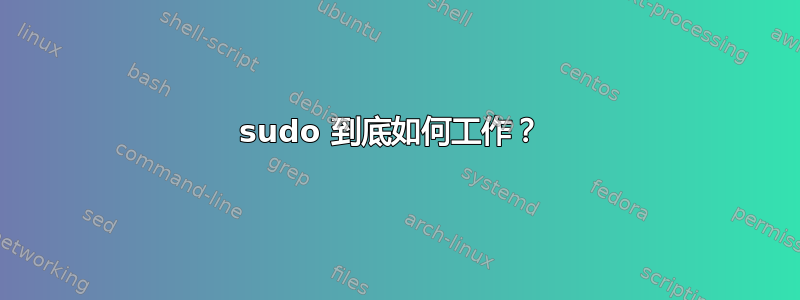 sudo 到底如何工作？ 