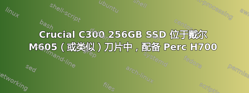 Crucial C300 256GB SSD 位于戴尔 M605（或类似）刀片中，配备 Perc H700