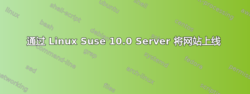 通过 Linux Suse 10.0 Server 将网站上线