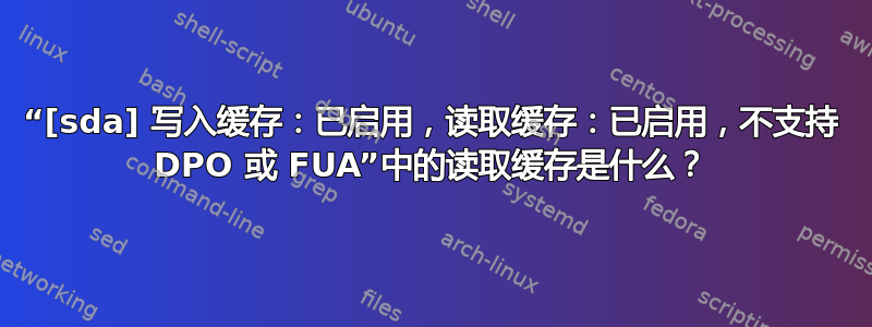 “[sda] 写入缓存：已启用，读取缓存：已启用，不支持 DPO 或 FUA”中的读取缓存是什么？