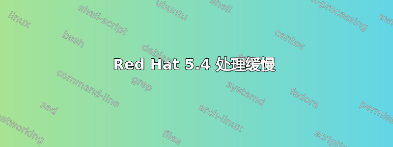 Red Hat 5.4 处理缓慢