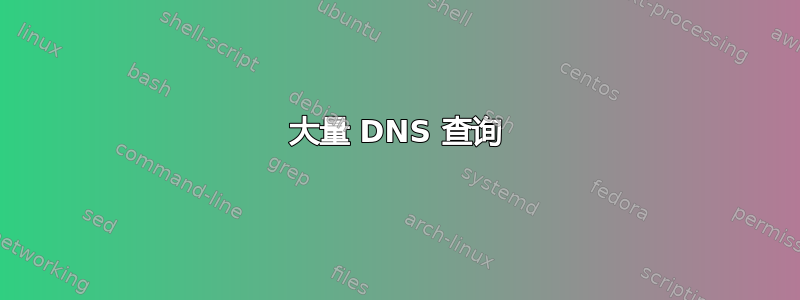 大量 DNS 查询