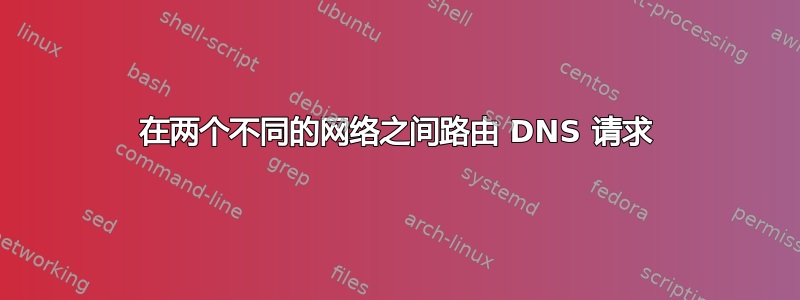 在两个不同的网络之间路由 DNS 请求