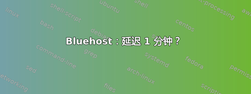 Bluehost：延迟 1 分钟？