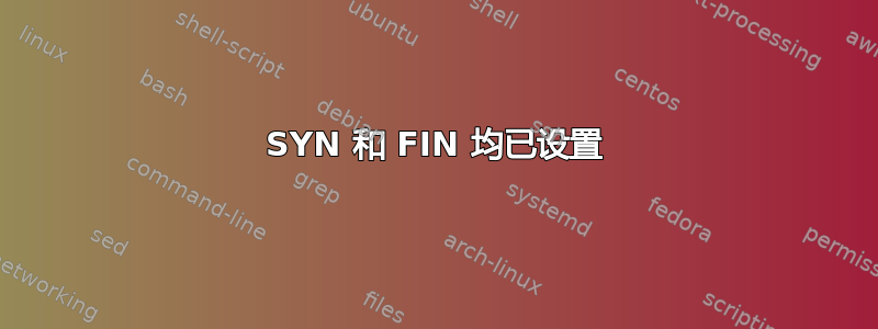 SYN 和 FIN 均已设置